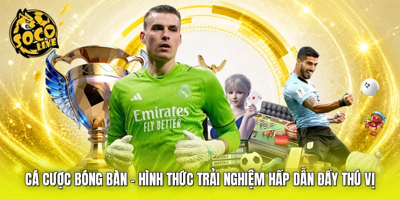 Cá Cược Bóng Bàn - Hình Thức Trải Nghiệm Hấp Dẫn Đầy Thú Vị