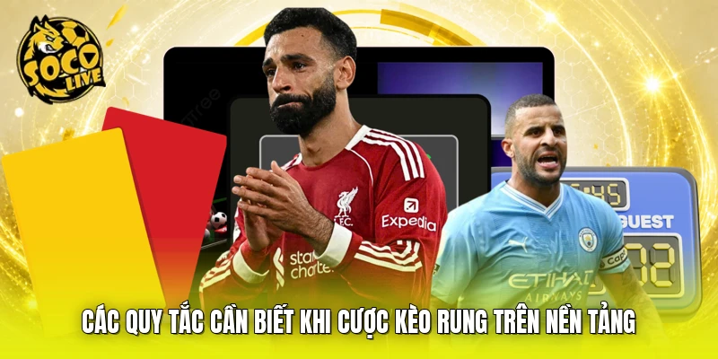 Các quy tắc cần biết khi cược kèo rung trên nền tảng