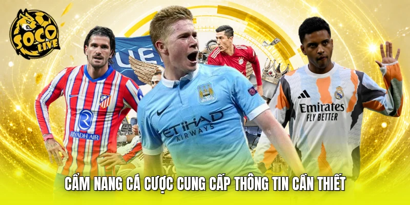 Cẩm nang cá cược cung cấp thông tin cần thiết