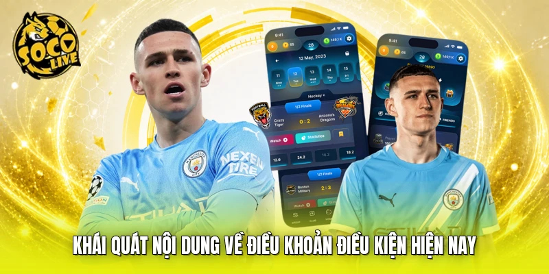 Khái quát nội dung về điều khoản điều kiện hiện nay