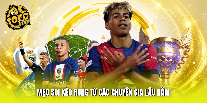 Mẹo soi kèo rung từ các chuyên gia lâu năm