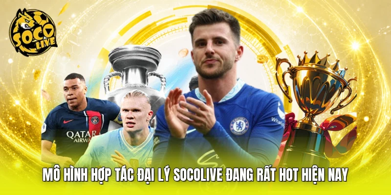 Mô hình hợp tác đại lý SOCOLIVE đang rất hot hiện nay