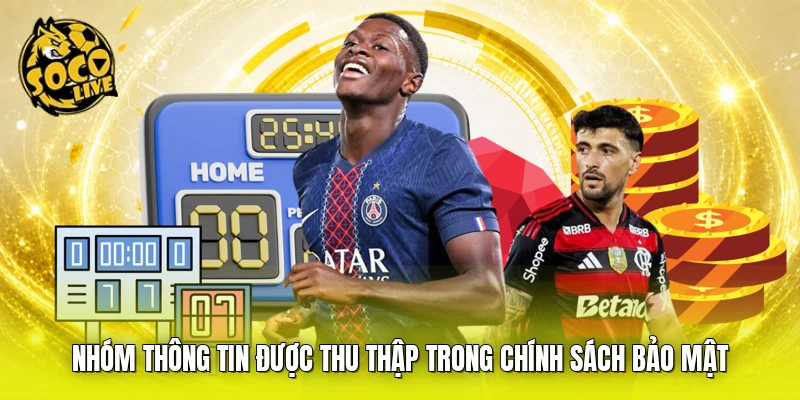 Nhóm thông tin được thu thập trong chính sách bảo mật