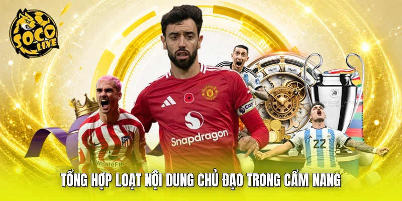 Tổng hợp loạt nội dung chủ đạo trong cẩm nang